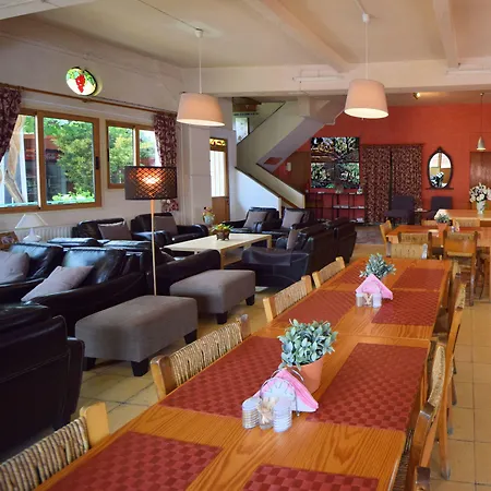 χρίστη παλάς *