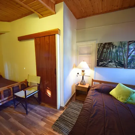 Ξενοδοχείο χρίστη παλάς *