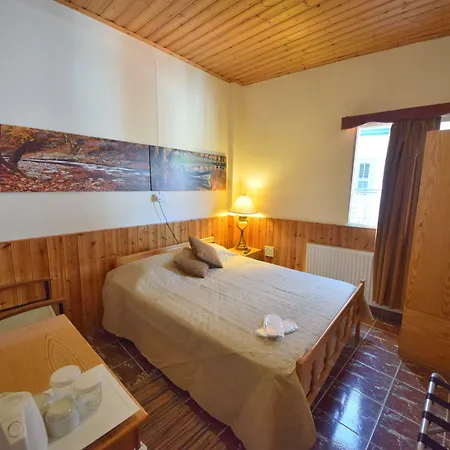 χρίστη παλάς *