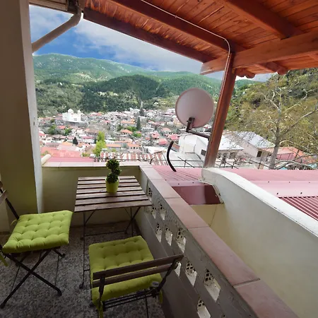 χρίστη παλάς *