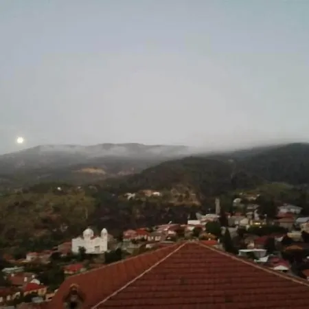 χρίστη παλάς *