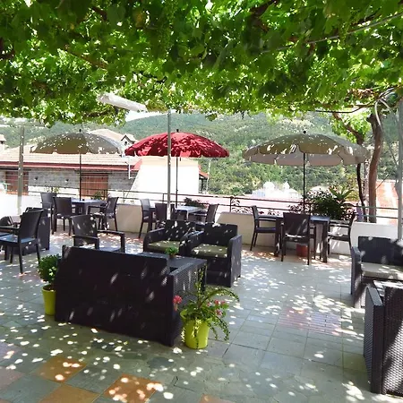 χρίστη παλάς