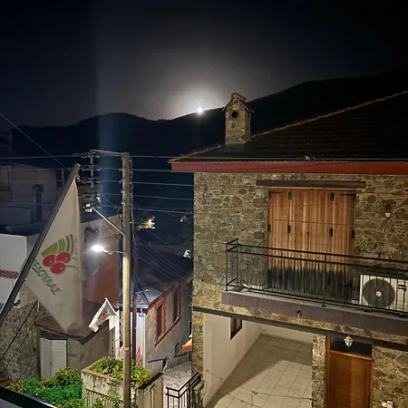 χρίστη παλάς *