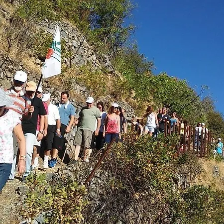 Hotel Christys Palace