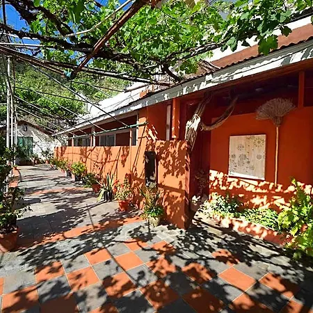 Christys Palace