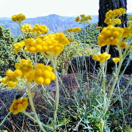 Hotel Christys Palace