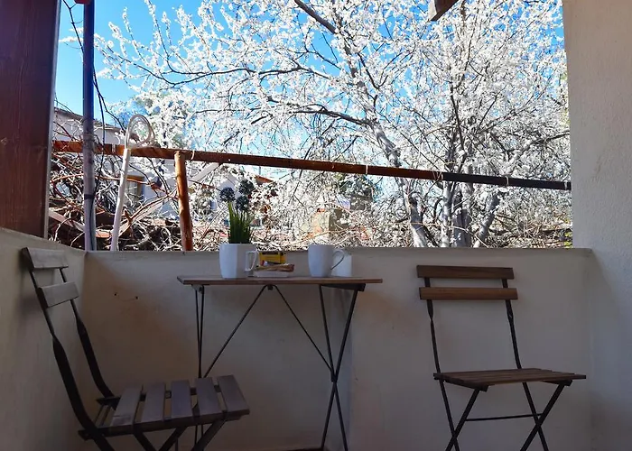 Hotel Christys Palace Pedhoulas