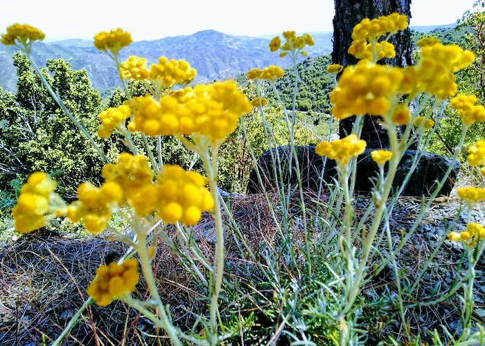 Hotel Christys Palace